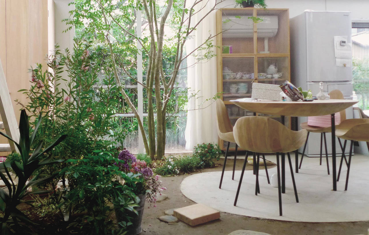 Casa con piante, Tokyo 2010-2012. Veduta dall'interno (photo by Junya.Ishigami+associates)